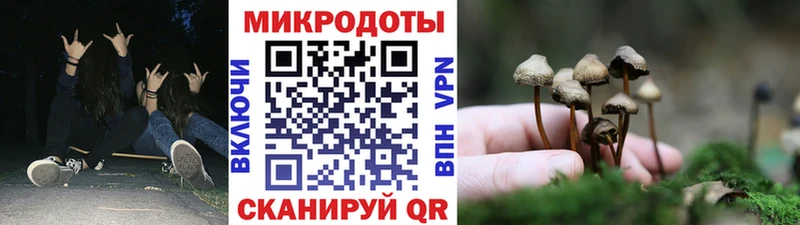 Купить  Жиздра  Псилоцибиновые грибы Cubensis 