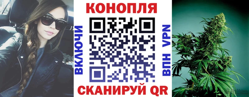 Купить закладки  Жиздра  Бошки Шишки планчик 